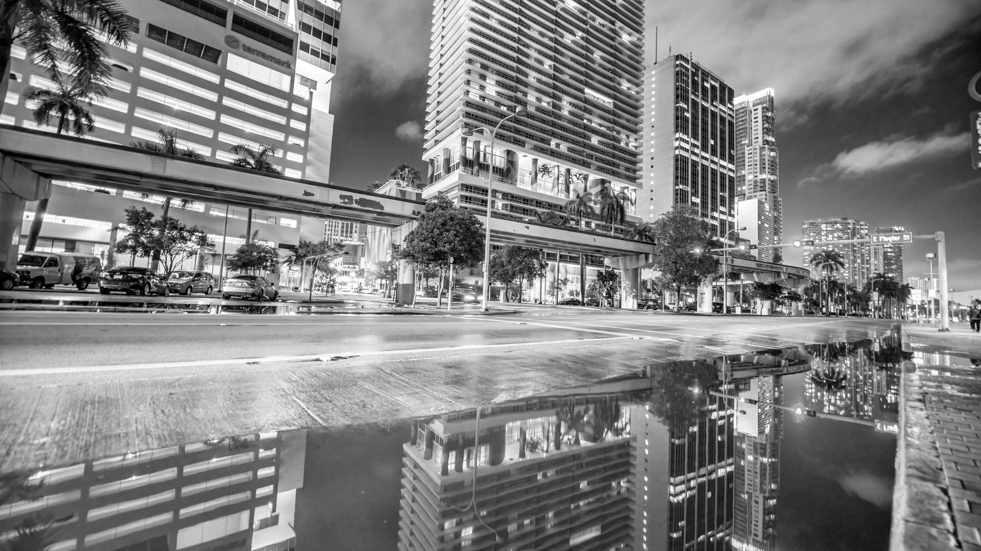 Miami Grand Theft Attorneys