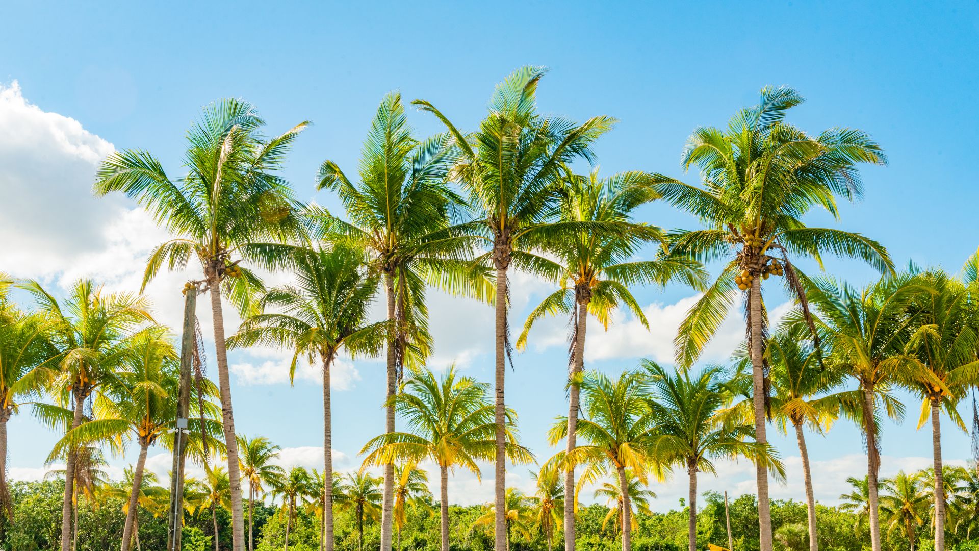 State Crimes Background