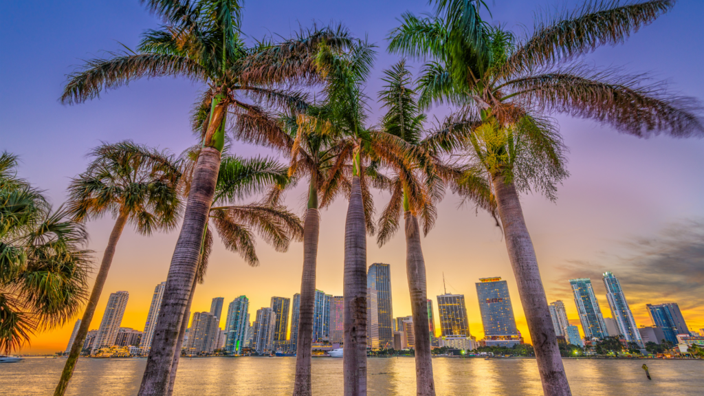 Massive South Florida Drug Bust in _Operation Spring Cleaning_ Sees 19 Arrested
