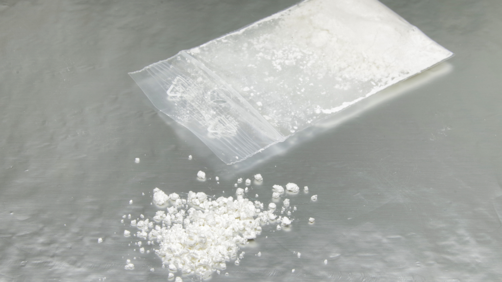 Coast Guard Seizes 8,000 Pounds of Cocaine in Port Everglades