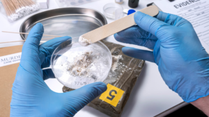 How A Florida Drug Crimes Lawyer Can Challenge The Evidence
